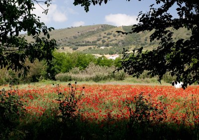 Ubrique, Jerez, Ronda and El Torcal, Antequera 
