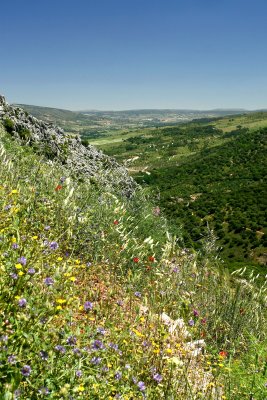 Ubrique, Jerez, Ronda and El Torcal, Antequera 