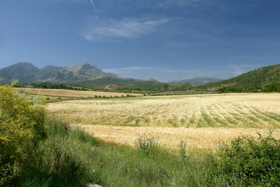 Ubrique, Jerez, Ronda and El Torcal, Antequera 