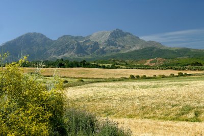 Ubrique, Jerez, Ronda and El Torcal, Antequera 