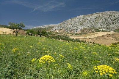 Ubrique, Jerez, Ronda and El Torcal, Antequera 