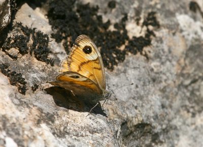 Ubrique, Jerez, Ronda and El Torcal, Antequera 