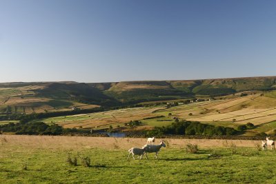 Upper Holme Valley