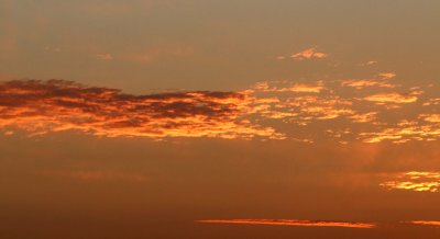 IMG_9978.jpg