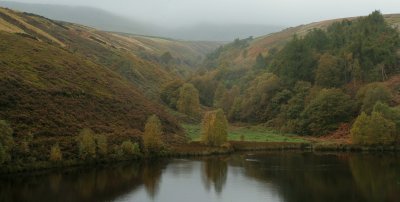 Bilberry reservoir