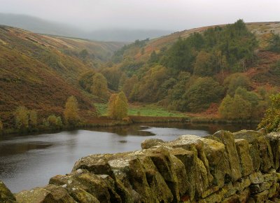 Bilberry reservoir