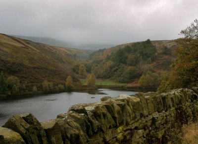 Bilberry reservoir