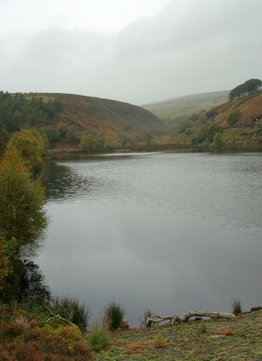 Bilberry reservoir