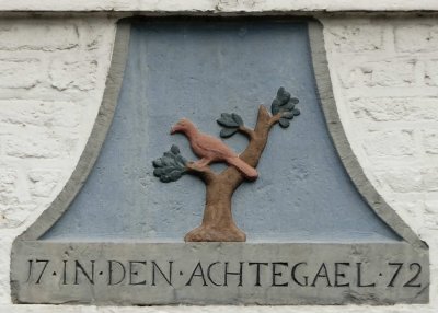 Boschstraat 113