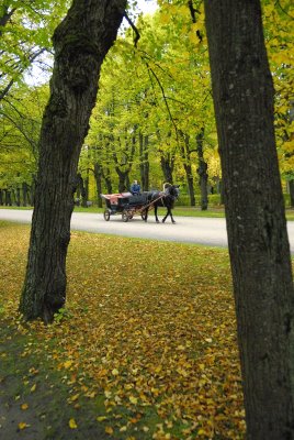 Pavlovsk Palace Park