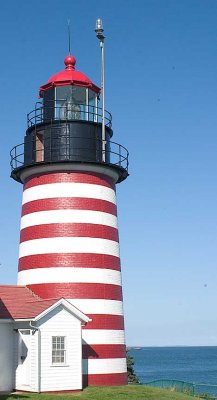IMG_2131.jpg