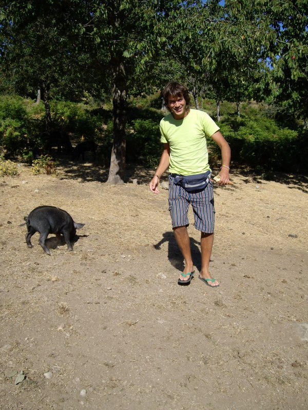 vem trobar uns porc i el Cris va decidir donar-lis un tros de pa dur que duiem... i el van comenar a perseguir!!!