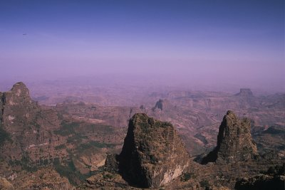 (D) Simien