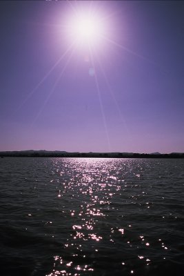 (D) el llac Tana