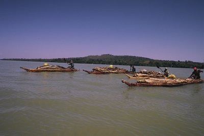 (D) barques de papir, es fan en un dia i duren 2-3 setmanes