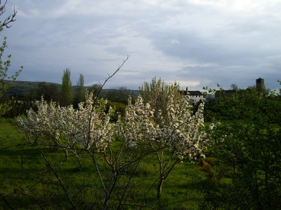 g6/45/689745/3/78066114.j2UVhNmm.jpg