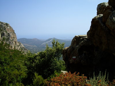 primeres vistes