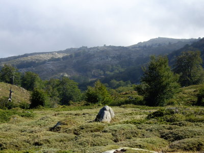 per fi, trobem el camí