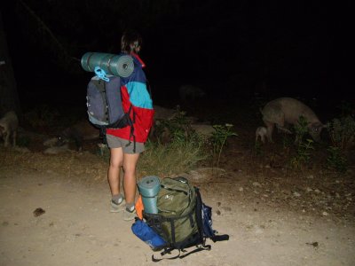 DIA 5: ens aixequem a les 4,30 i a les 5h ja estem caminant... trobem uns porcs que ens foten un susto de mort a aquelles hores!