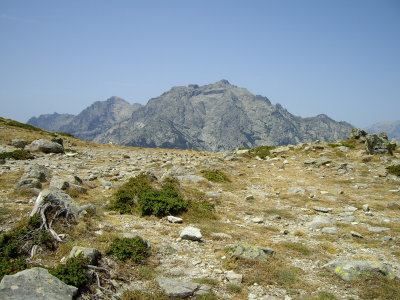 g6/45/689745/3/83819479.MgSPYua1.jpg
