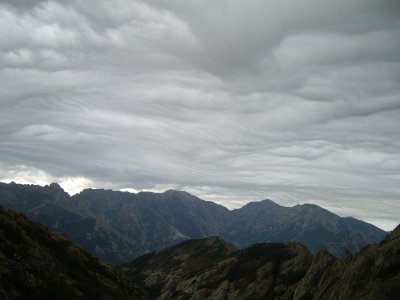 des del Coll