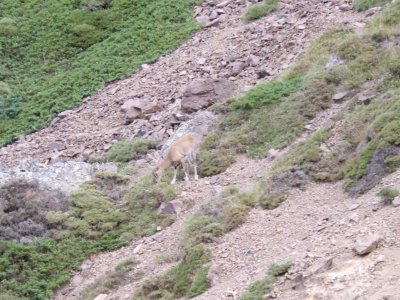 g6/45/689745/3/83822419.WY87zYtA.jpg