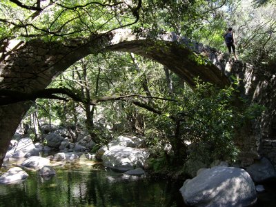 pont genovés que trobem pel camí