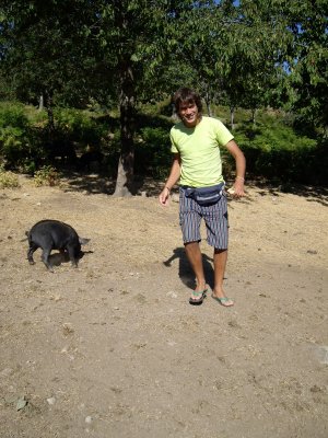vem trobar uns porc i el Cris va decidir donar-lis un tros de pa dur que duiem... i el van començar a perseguir!!!