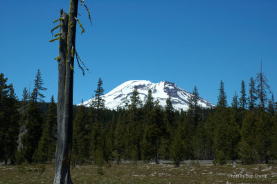 Oregon 2005-07.jpg