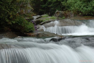 Paradise Valley 06.jpg