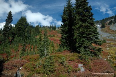 Mazama Ridge_01.jpg