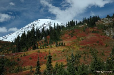 Mazama Ridge_02.jpg