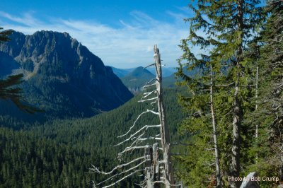 Nisqually Basin_02.jpg