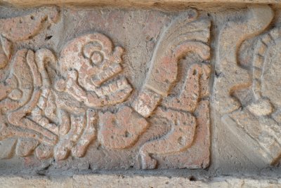 wall of snakes