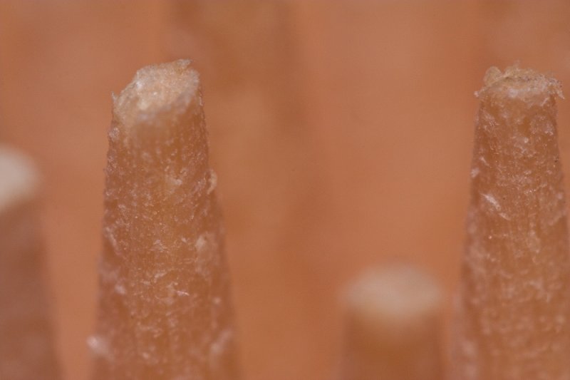 Toothpicks