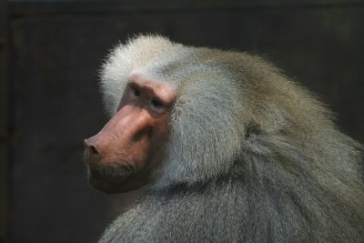 IMG_4533.JPG