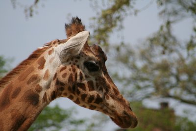 IMG_4597.JPG
