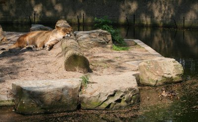 IMG_4653.JPG