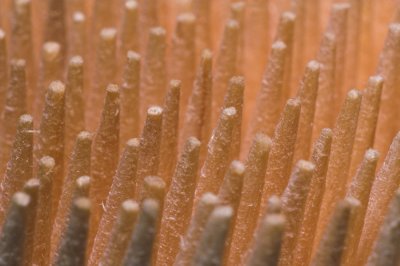 Toothpicks