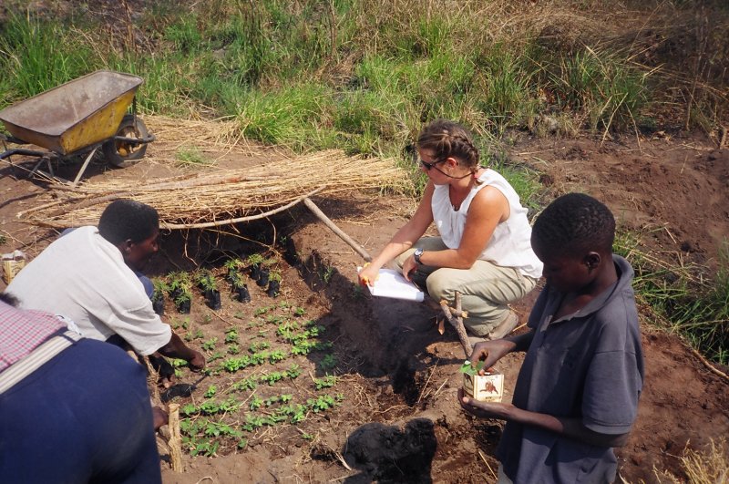 Nusery with seedlings uncovered.JPG