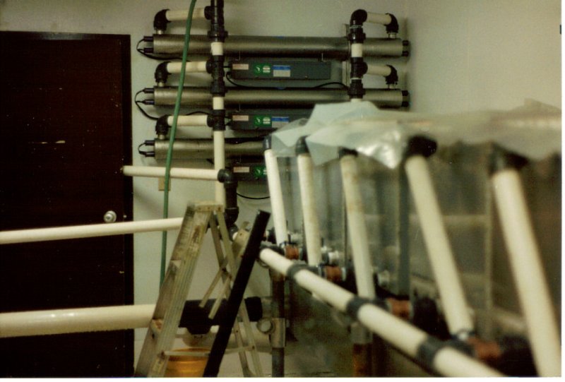 UV sterilizers and Kitoi Boxes.jpg
