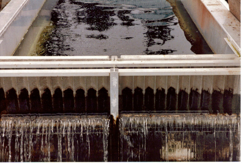 tail end of raceway drawing off the bottom.jpg