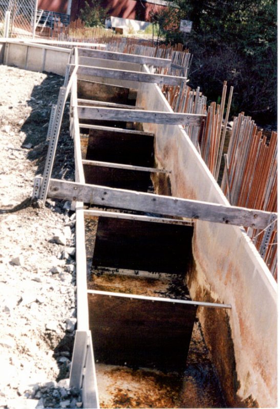 Weir leading fish into fish ladder.jpg