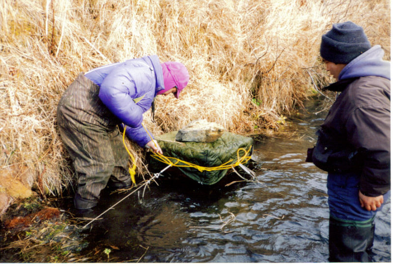 In-stream incubator.jpg
