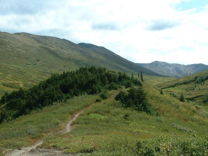Looking south