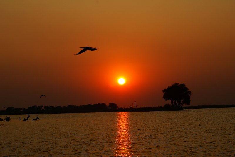 C sunet 3.JPG