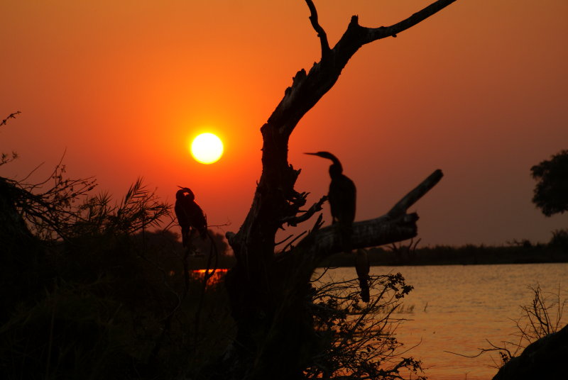 C sunset 6.JPG