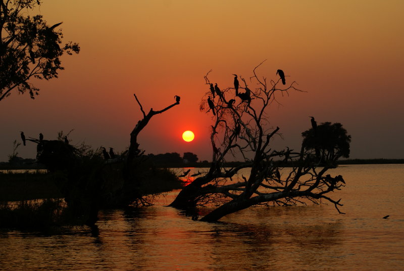 C sunset 7.JPG