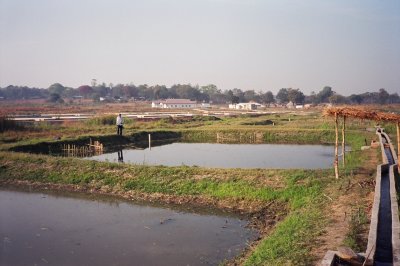 Small training ponds at Mwekera.JPG