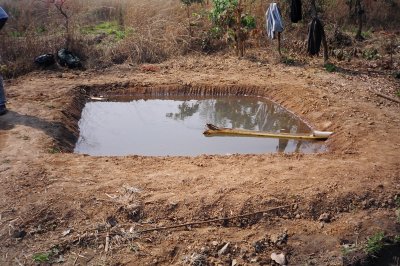 Banana sheaf feeding water into fry holding pond.JPG